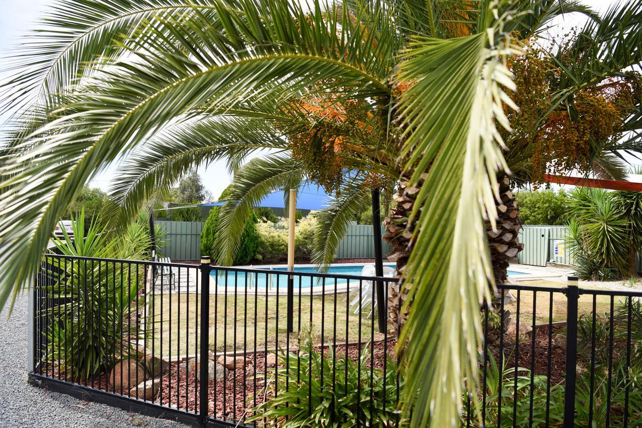 Culcairn Motor Inn Dış mekan fotoğraf